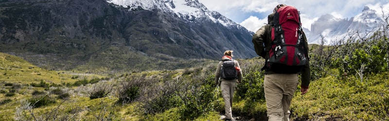 山地自行车运动员比赛照片 - 选手在森林赛道急速下坡